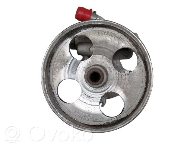 Power steering pump   1440200380,040703401,1400980180,1401419280,1440200380,28140850AD,4007TA,4007TC,556113,7070064,SP85159