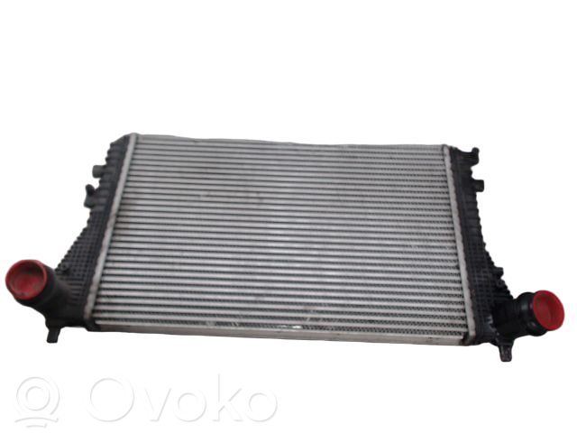 Volkswagen Tiguan Chłodnica powietrza doładowującego / Intercooler 