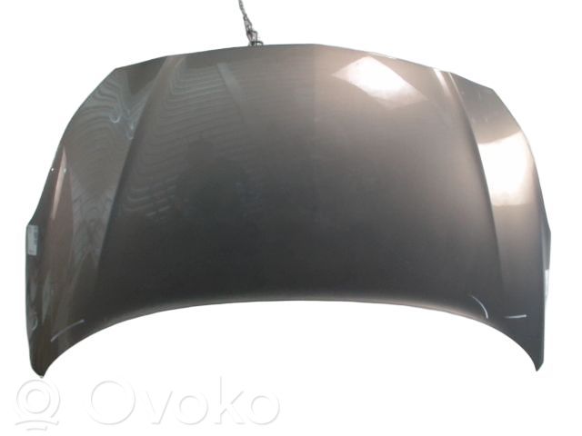 Dzinēja pārsegs (vāks)   39035277,39035277