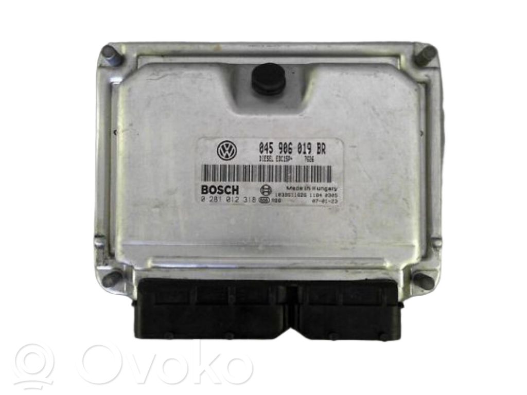 Seat Ibiza III (6L) Centralina/modulo motore ECU