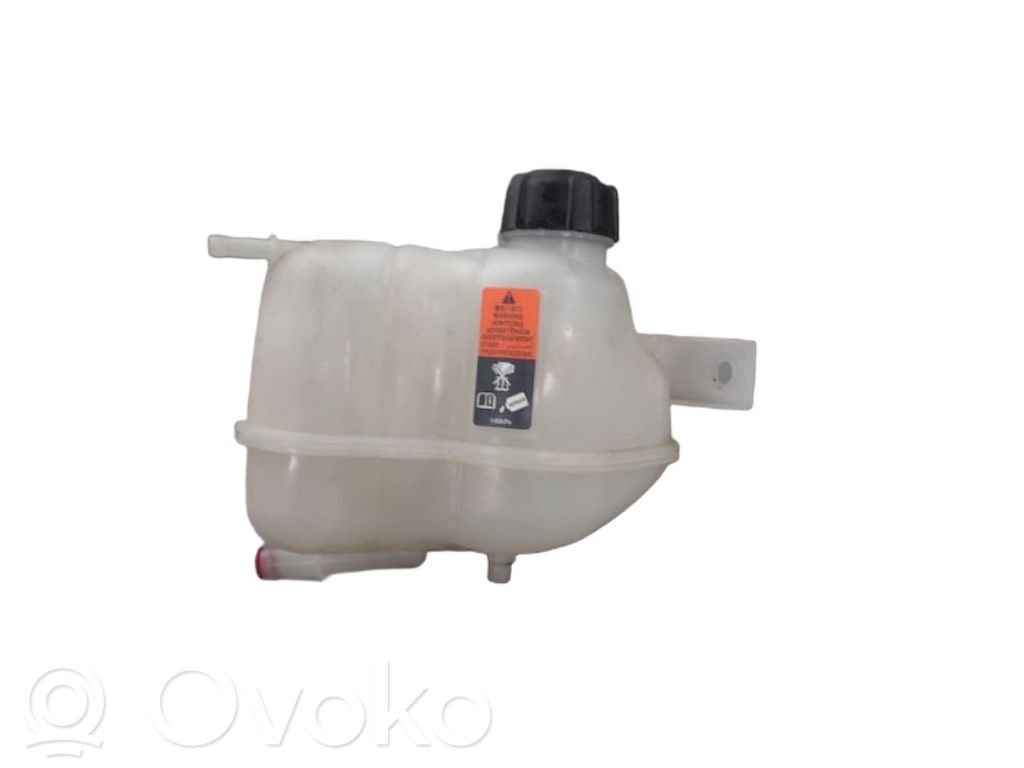 Nissan Qashqai Vas expansiune/rezervor lichid de răcire 