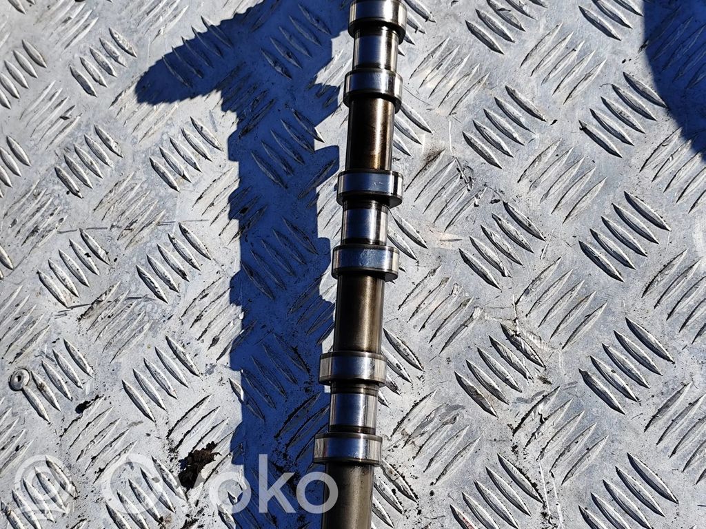 Nokka-akseli   7790595,420520158