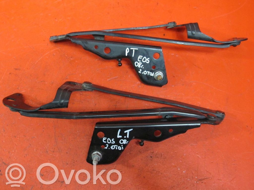 Volkswagen Eos Tailgate/trunk/boot hinge 