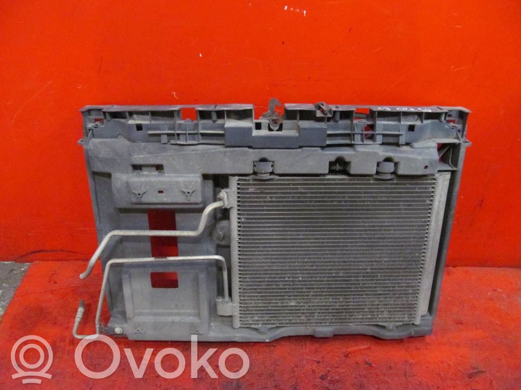 Citroen C3 Radiatorių panelė 