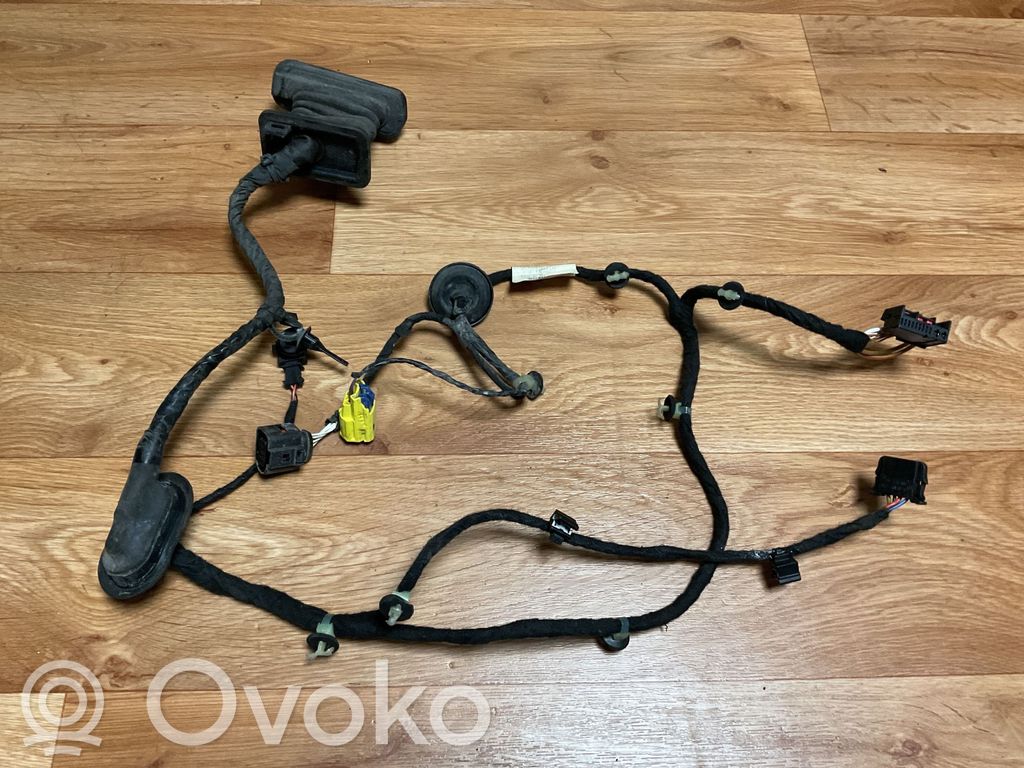 Volkswagen PASSAT B6 Cablaggio porta anteriore 
