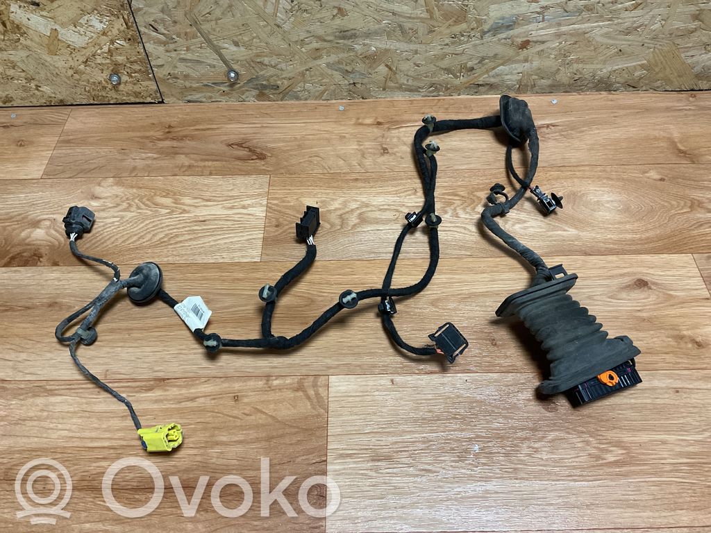 Volkswagen PASSAT B6 Cablaggio porta anteriore 