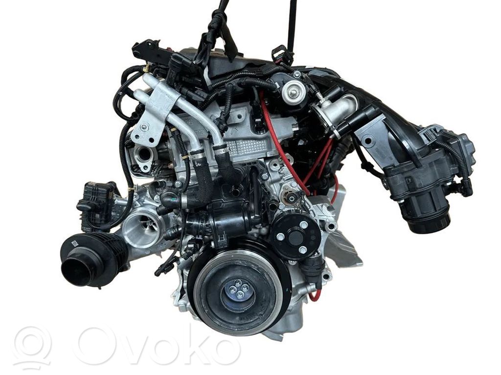 Variklis   B57D30A