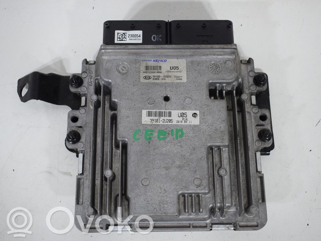 Galios (ECU) modulis   391002U205,9001230014KK,SIM2K510