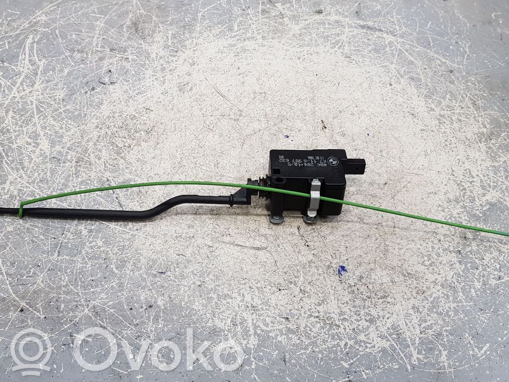 Fuel tank cap   67116987632