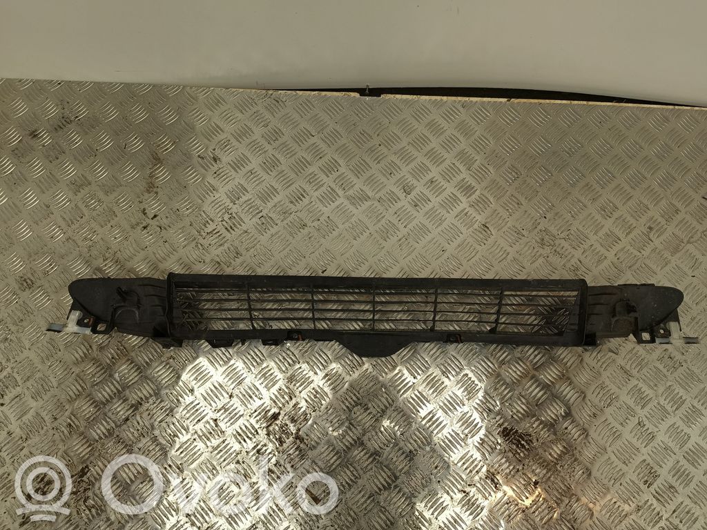 Tesla Model 3 Front bumper lower grill 