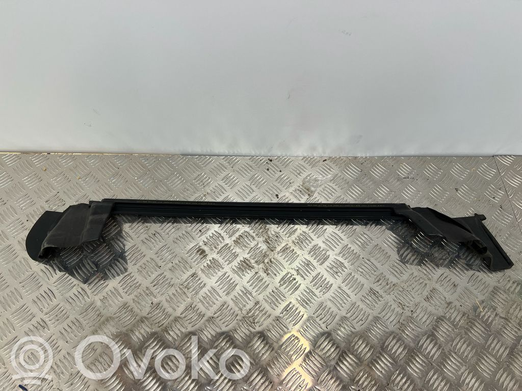 Tesla Model 3 Ornament geam ușă spate 