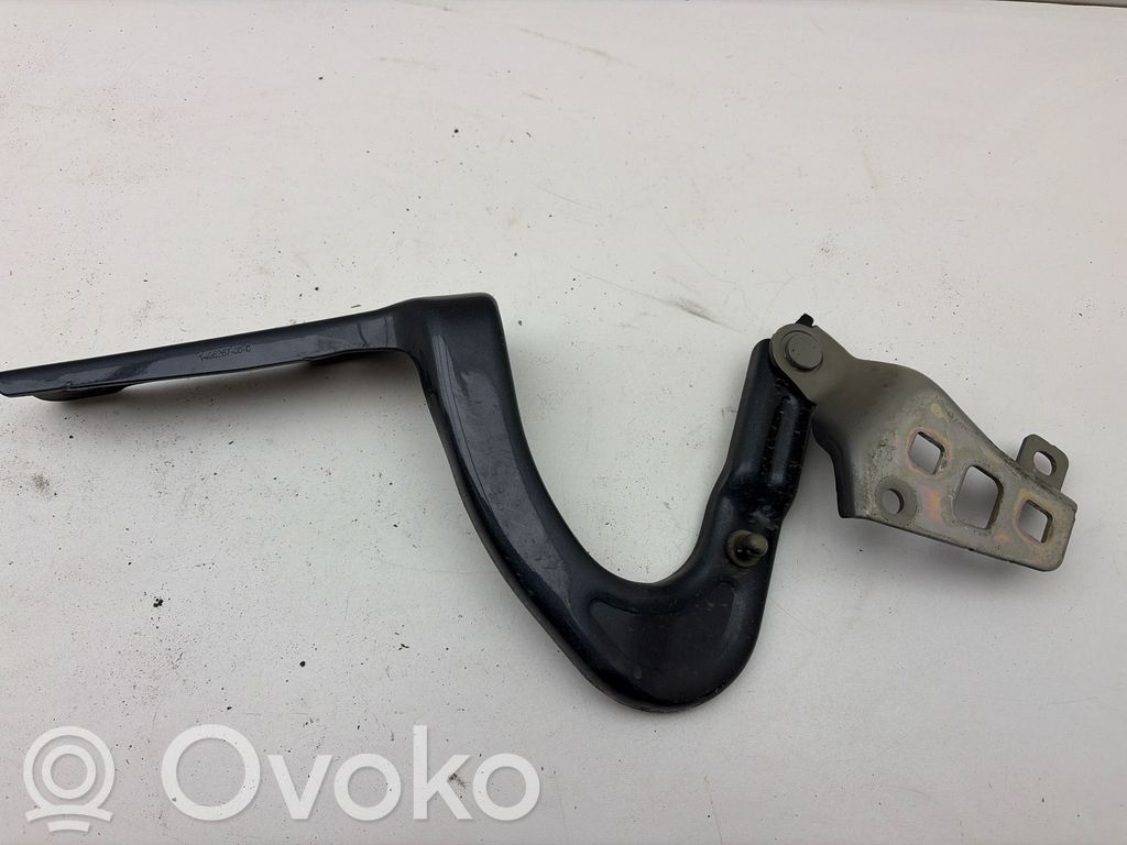 Tesla Model Y Engine bonnet/hood hinges 