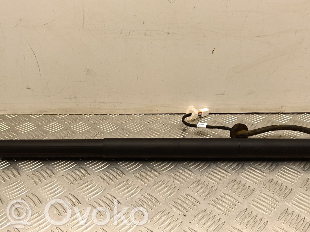 Tesla Model Y Amortizatorius galinio dangčio 