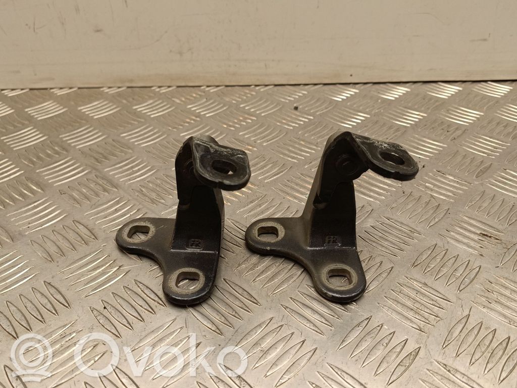 Tesla Model Y Front door hinge set 