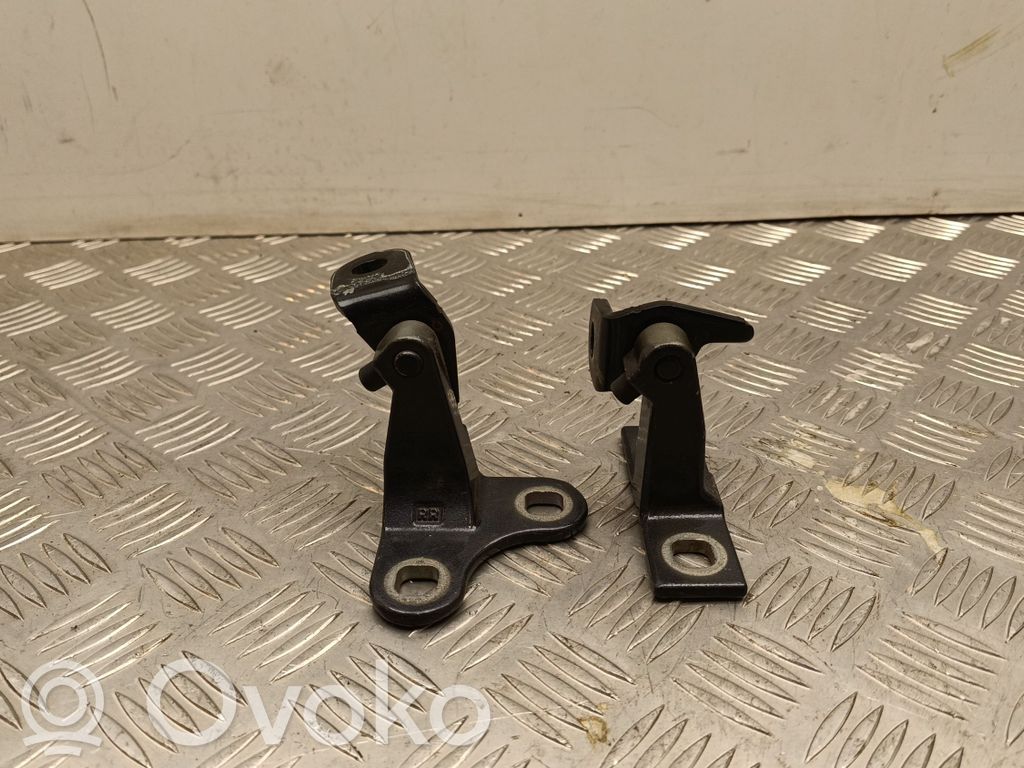 Tesla Model Y Rear door hinge set 