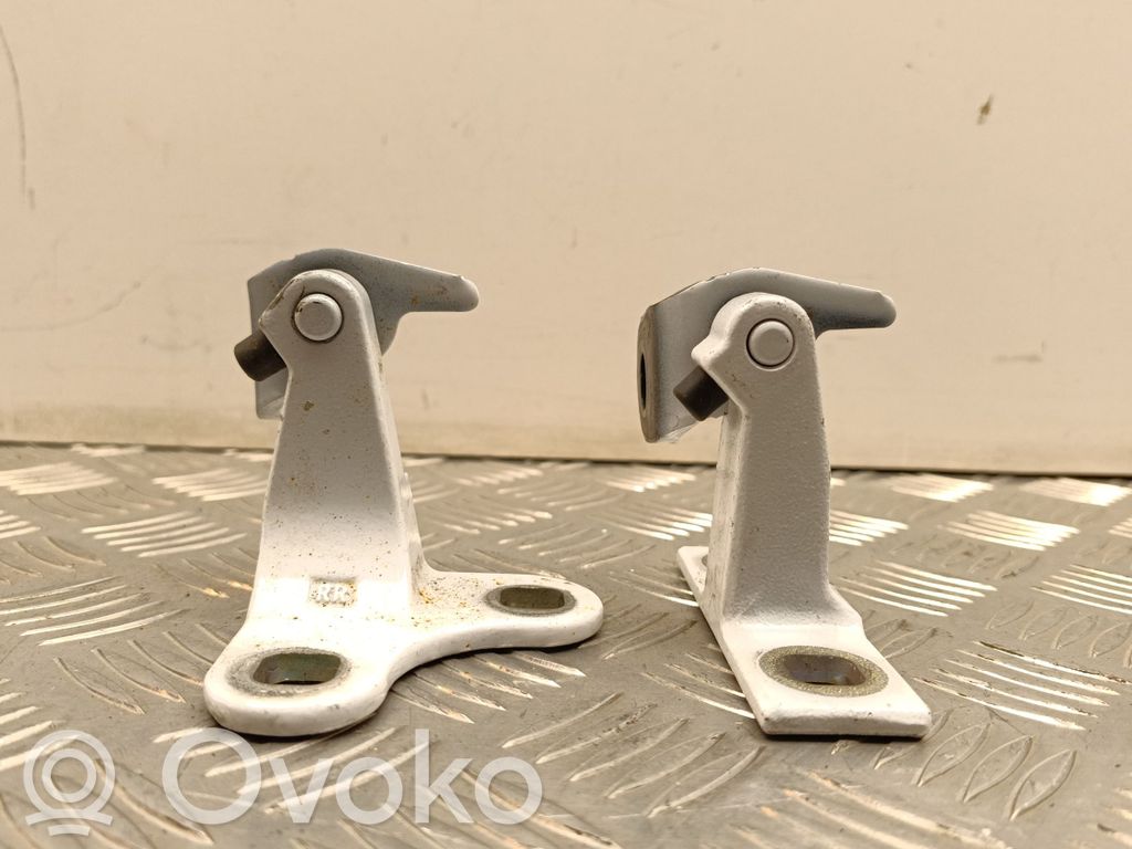 Tesla Model Y Rear door hinge set 
