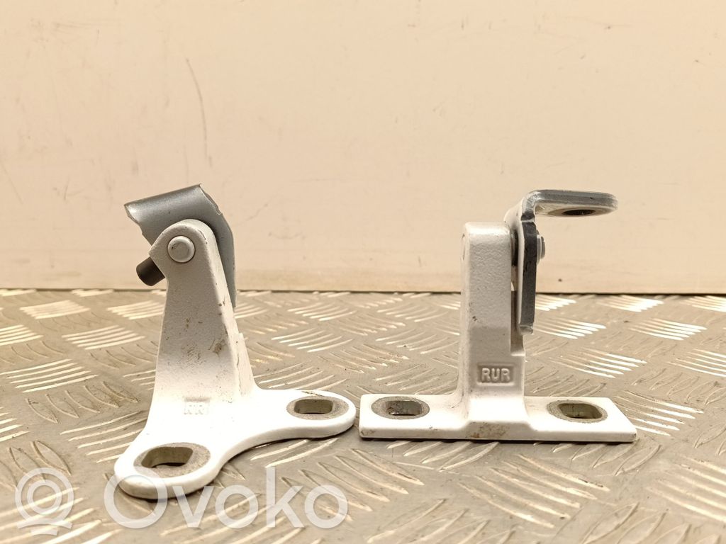 Tesla Model Y Rear door hinge set 