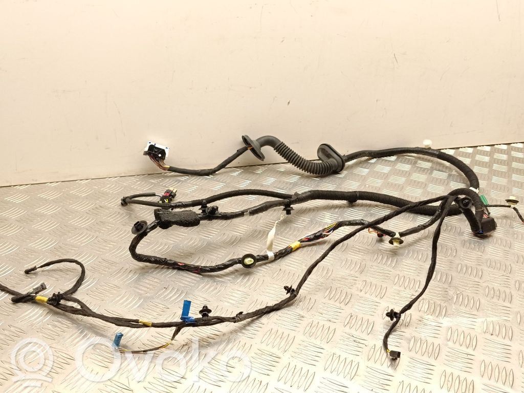 Cableado de puerta delantera   148904402E,HBT230385G0799
