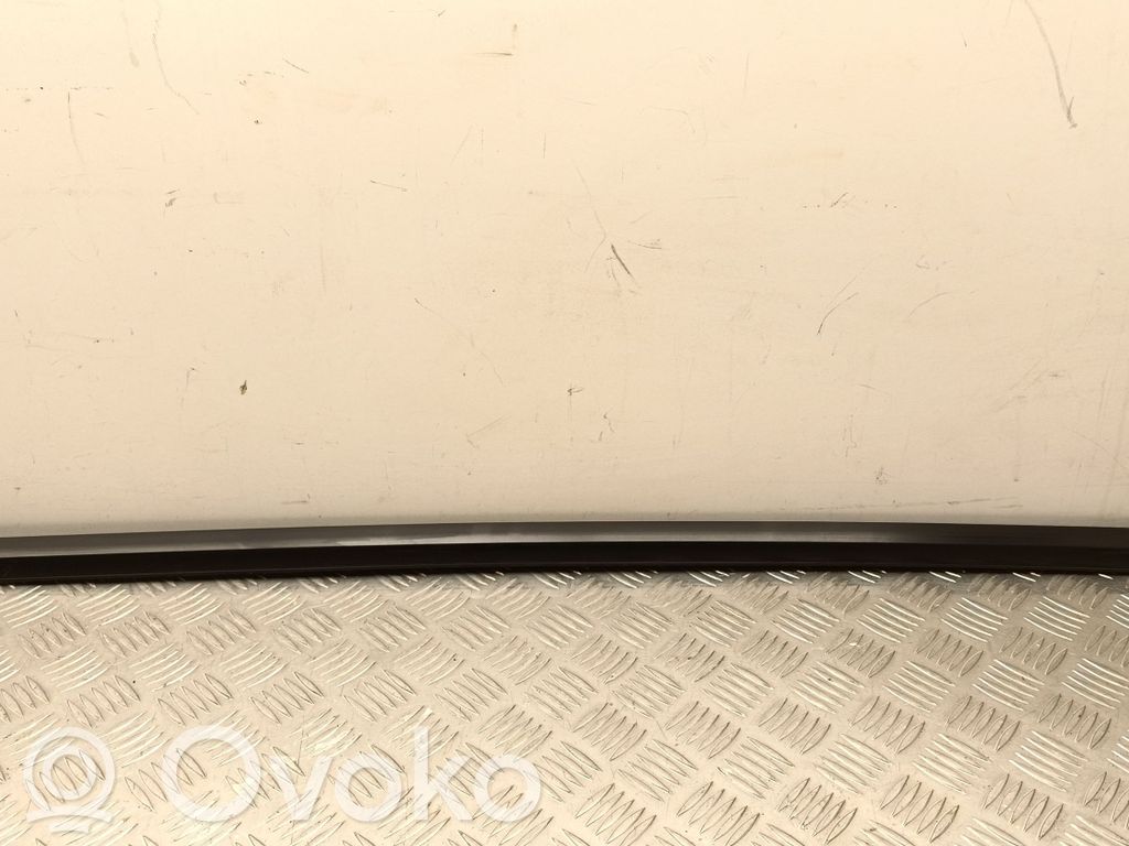 Tesla Model Y Listwa / Uszczelka szyby drzwi 