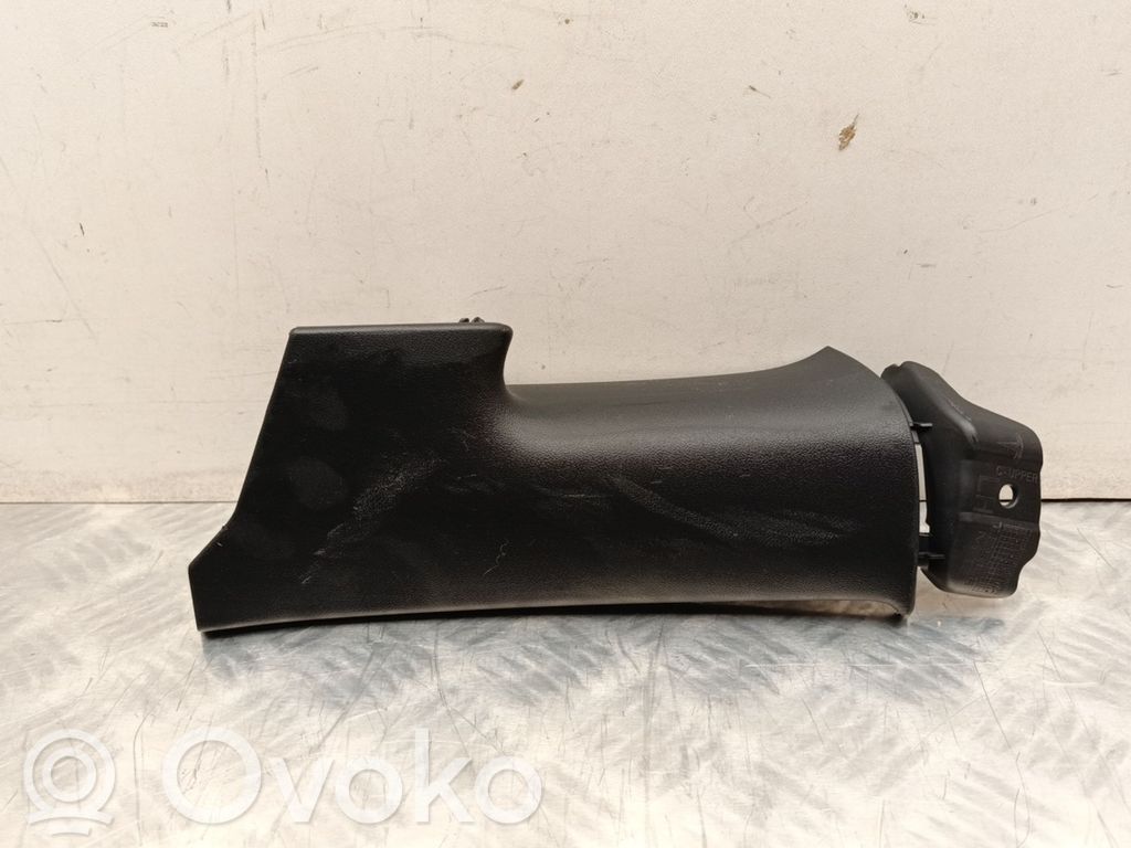 Tesla Model 3 (C) pillar trim 