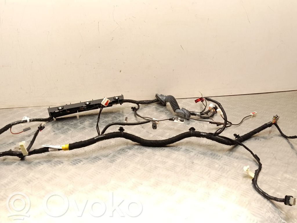 Tailgate/trunk wiring harness   P1489055
