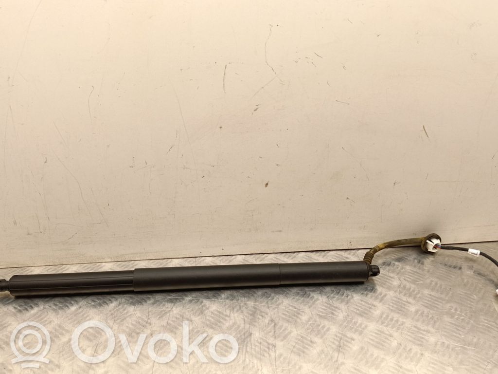 Tesla Model Y Amortizatorius galinio dangčio 