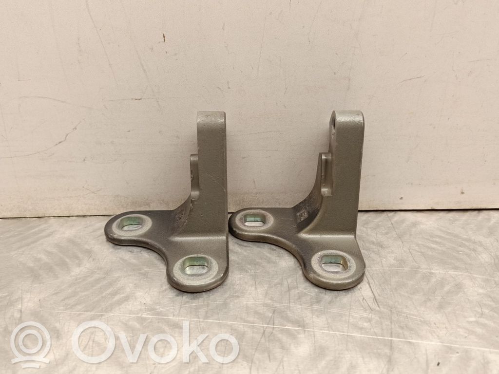 Front door hinge set   149749200C
