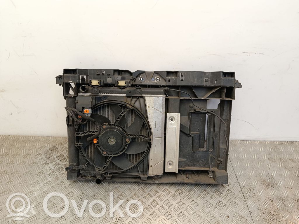 Radiator set   9812028580,9674813580