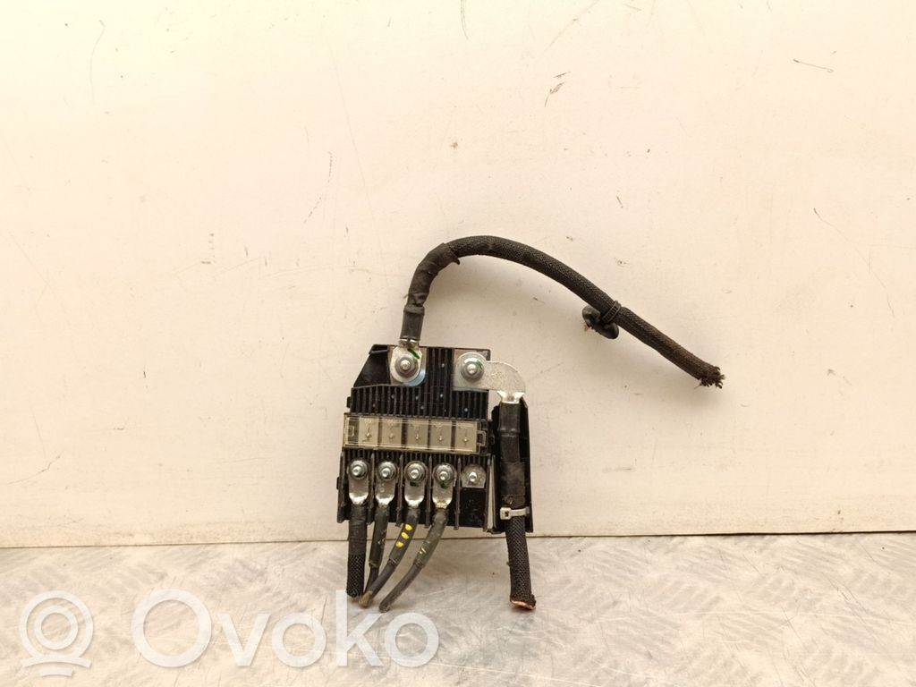Cableado positivo   9811879680B,20210119
