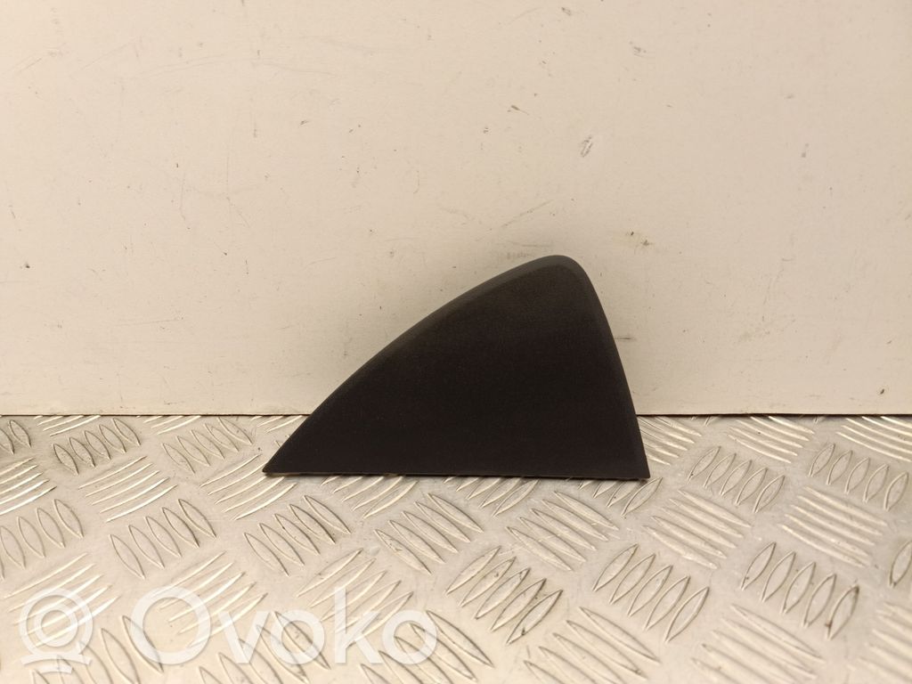 Tesla Model 3 Moldura del extremo lateral de panel 