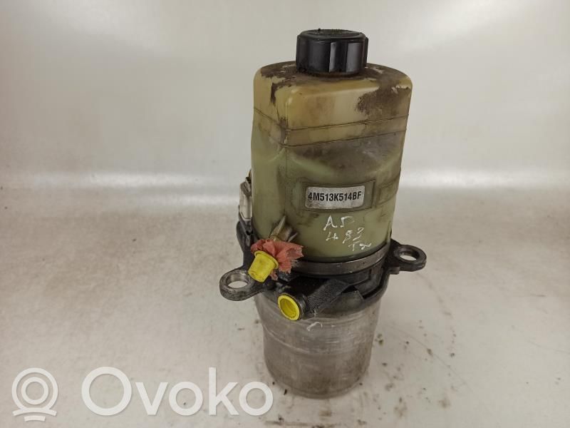 Pompa servosterzo   1743471,DPN1195