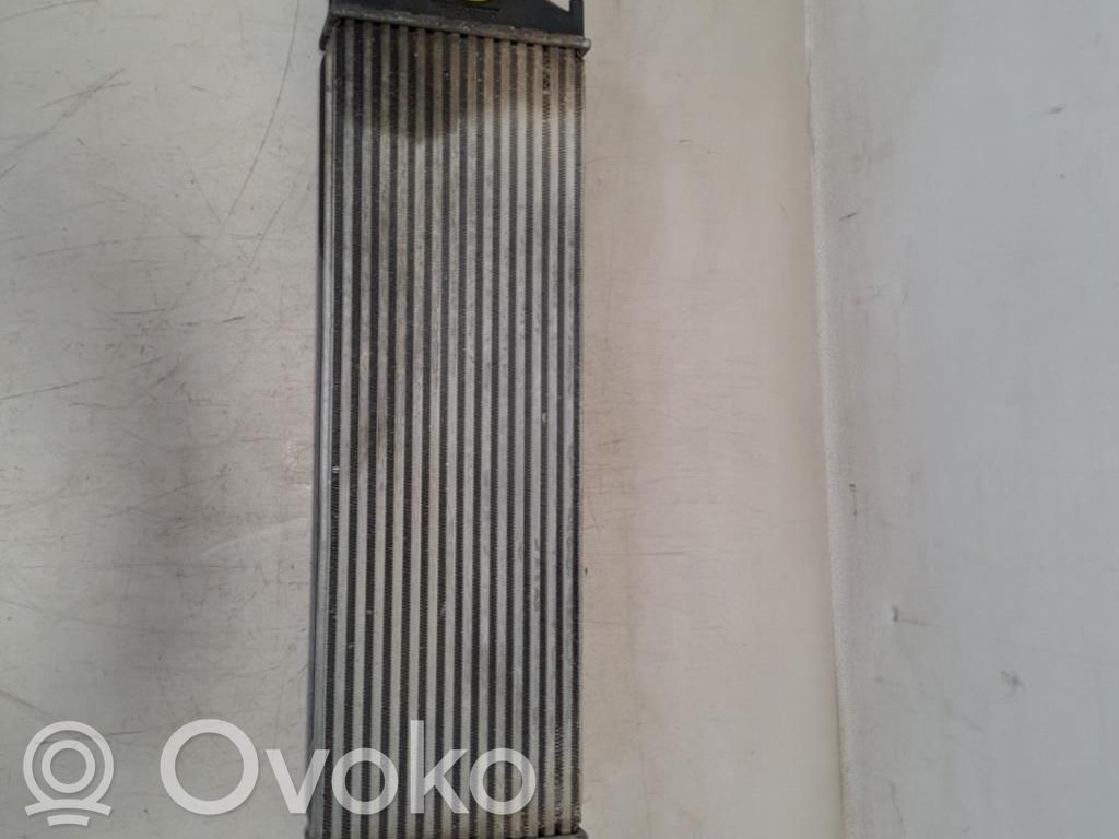 Mercedes-Benz Sprinter W906 Chłodnica powietrza doładowującego / Intercooler 