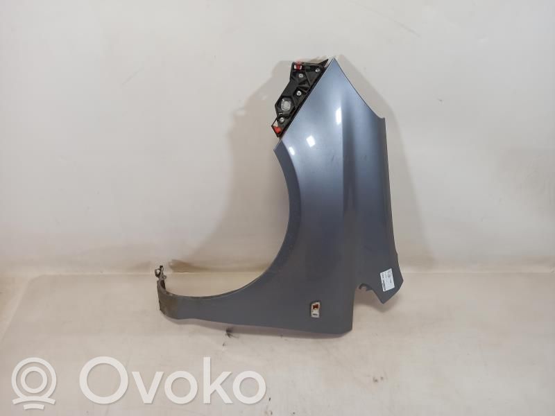 Guardabarro   93189645