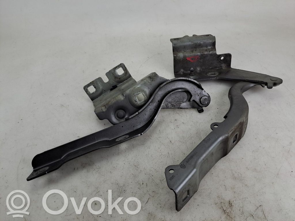Renault Talisman Engine bonnet/hood hinges 