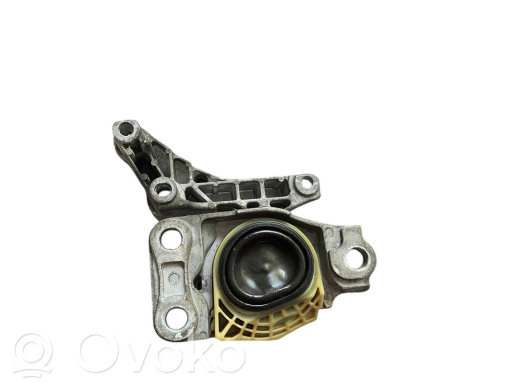 Renault Clio III Rear door lower hinge 