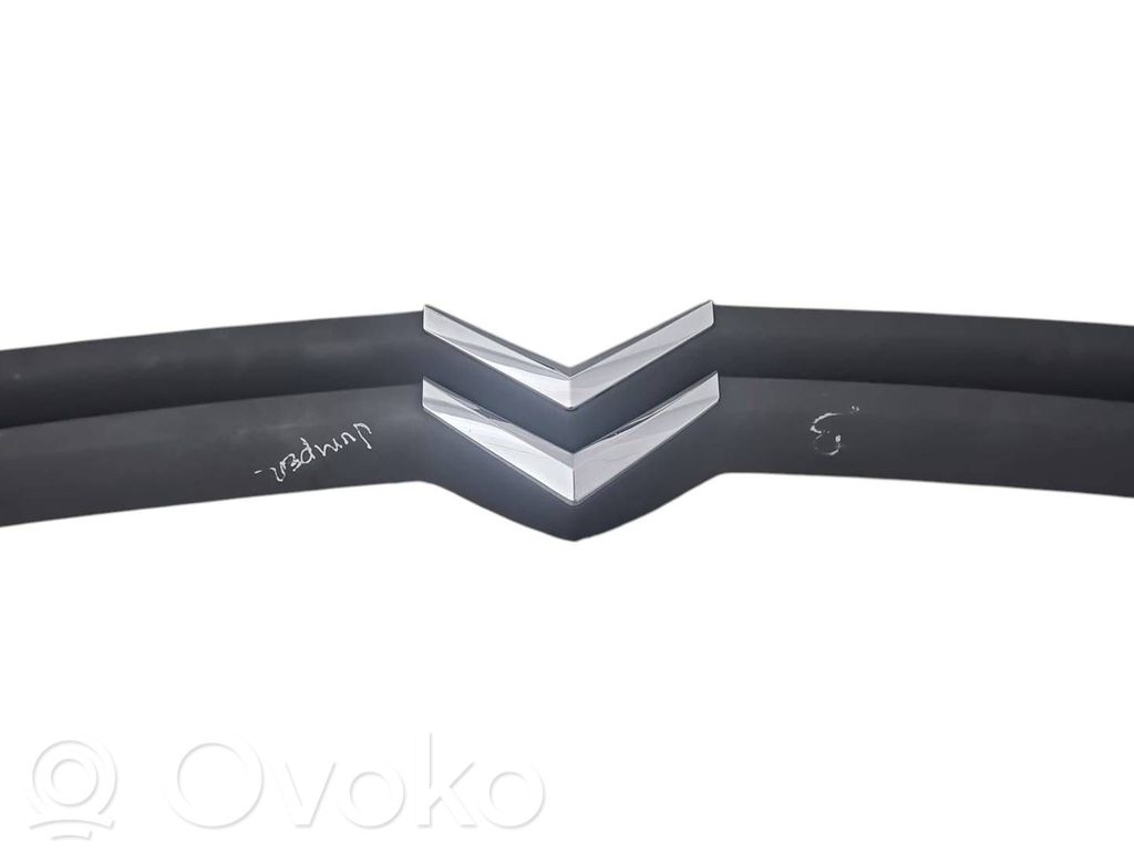 Maskownica / Grill / Atrapa górna chłodnicy   LS387230