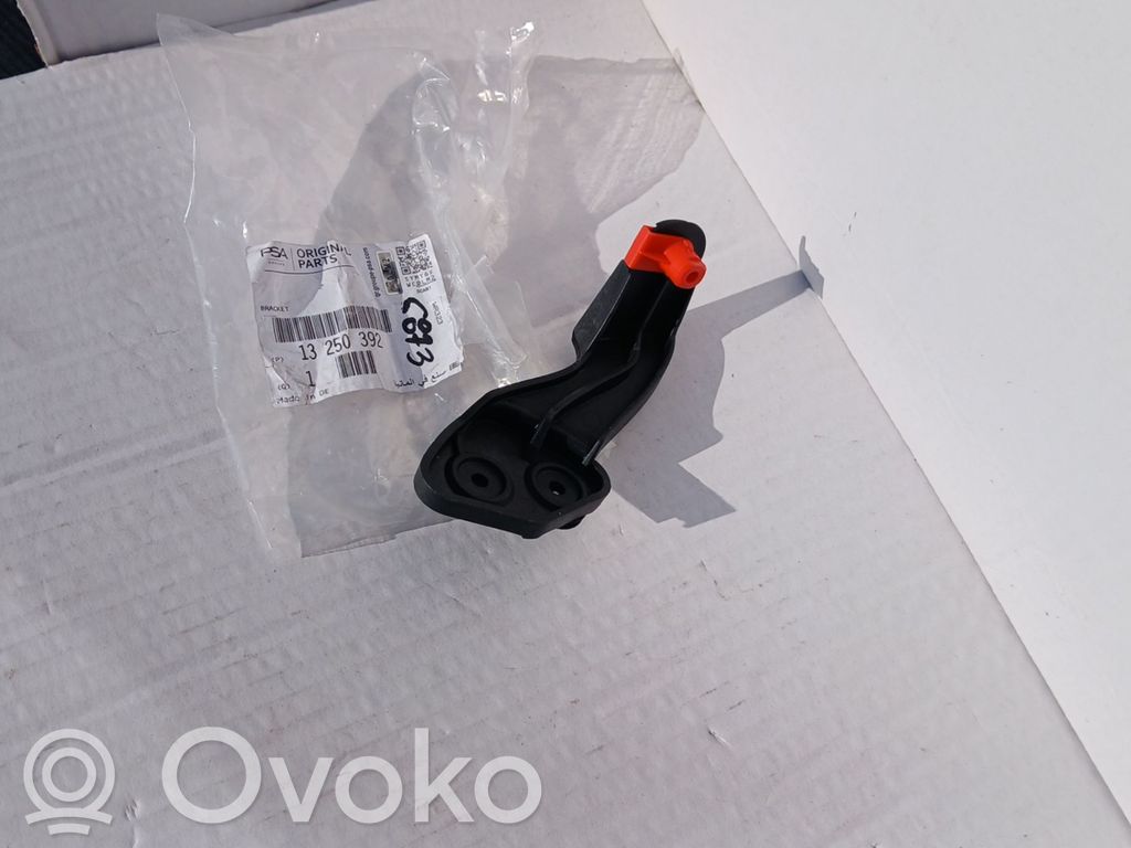 Rear bumper mounting bracket   13250392