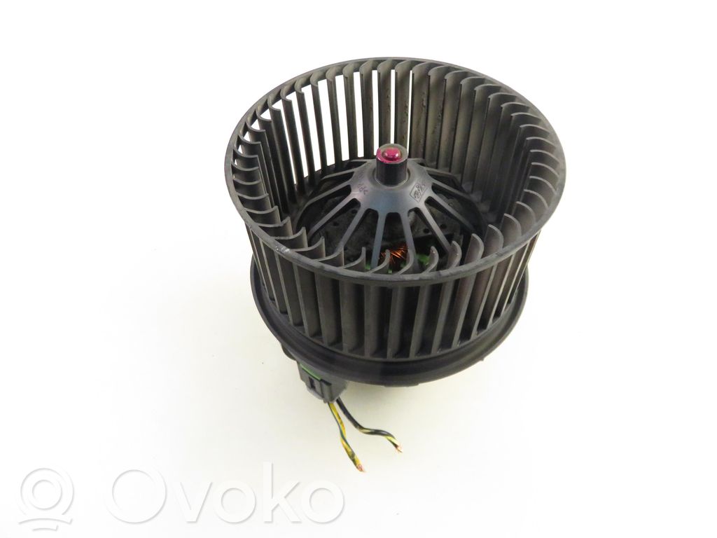 Pečiuko ventiliatorius/ putikas   6G9T18456AA,6G9T18456AA