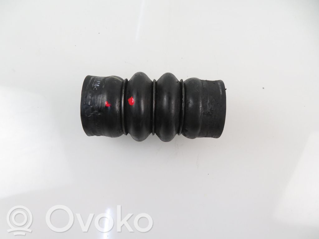 Citroen C3 Intercooler hose/pipe 