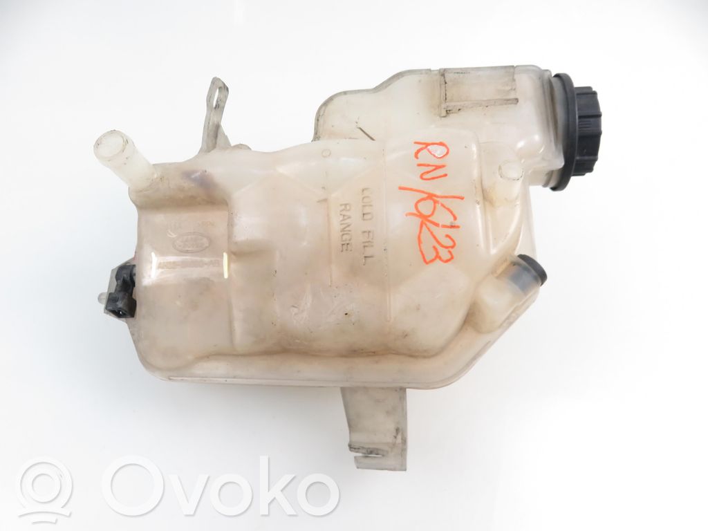 Land Rover Range Rover Sport L320 Vas expansiune/rezervor lichid de răcire 