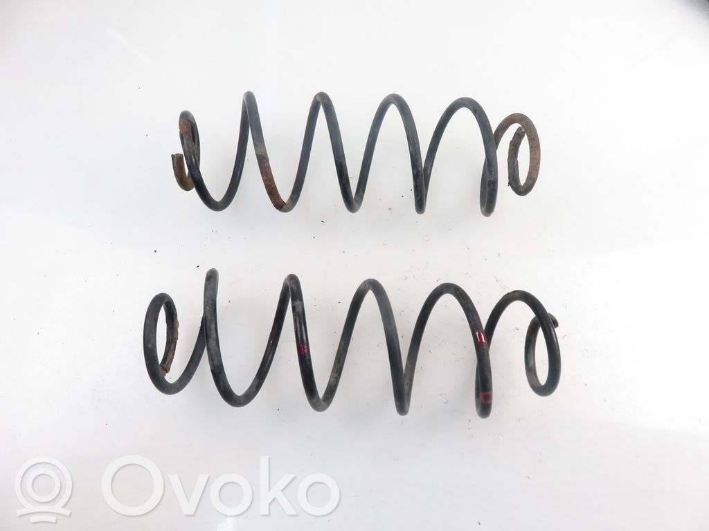 Rear coil spring