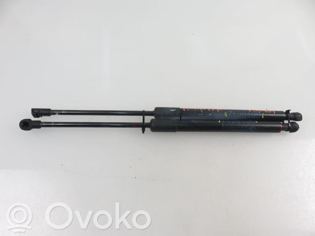 Amortizatorius variklio dangčio   7129190,7129190