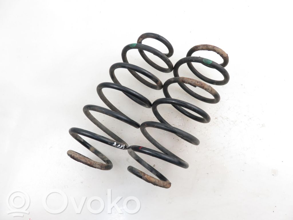 Rear coil spring