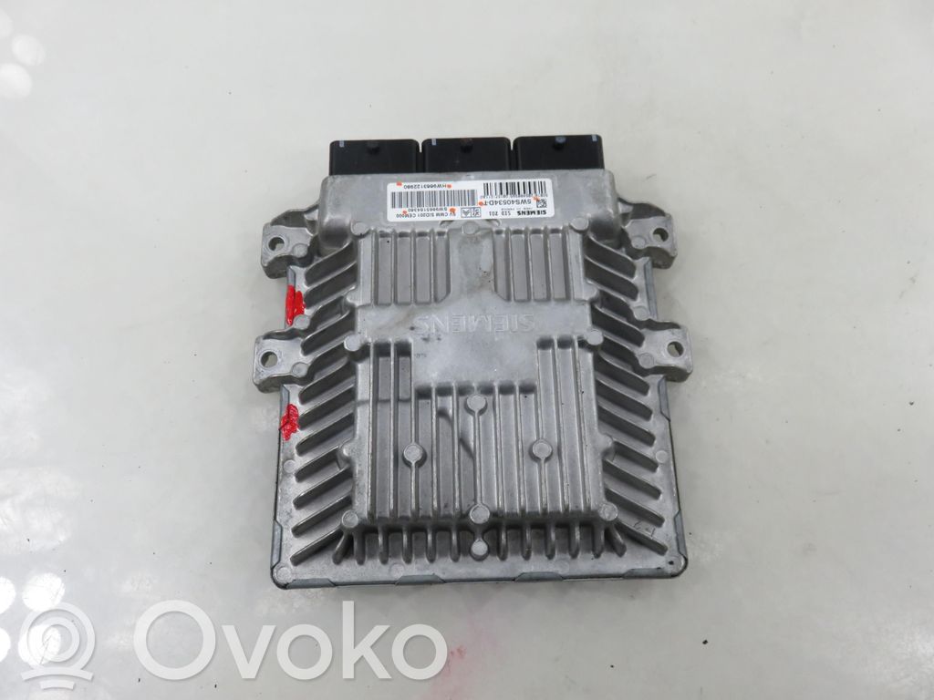 Engine control unit/module   HW9663122980,HW9663122980