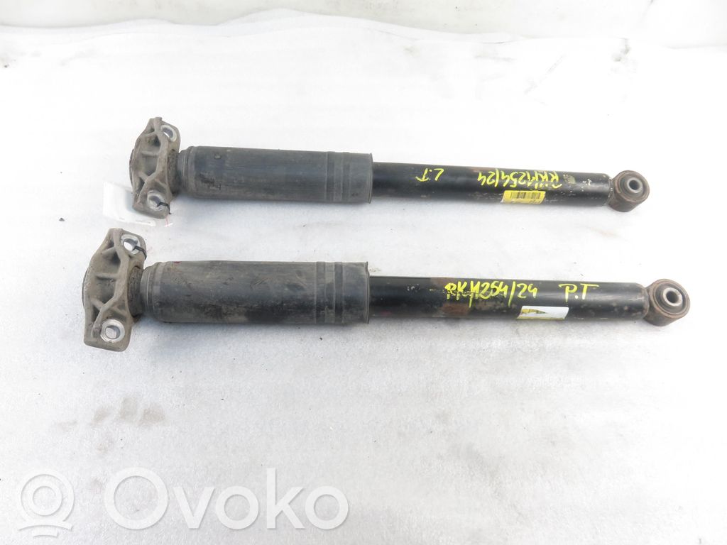 Opel Zafira C Amortizor spate
