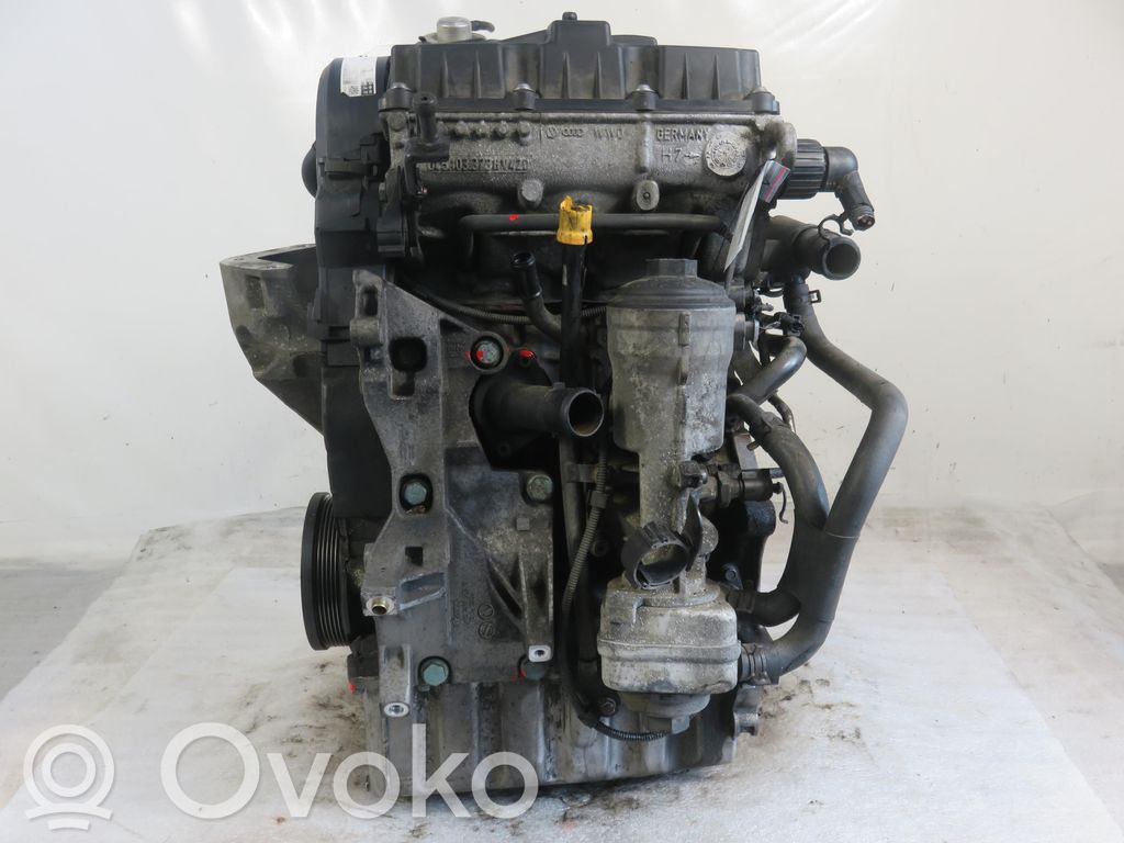 Volkswagen Polo IV 9N3 Motore 