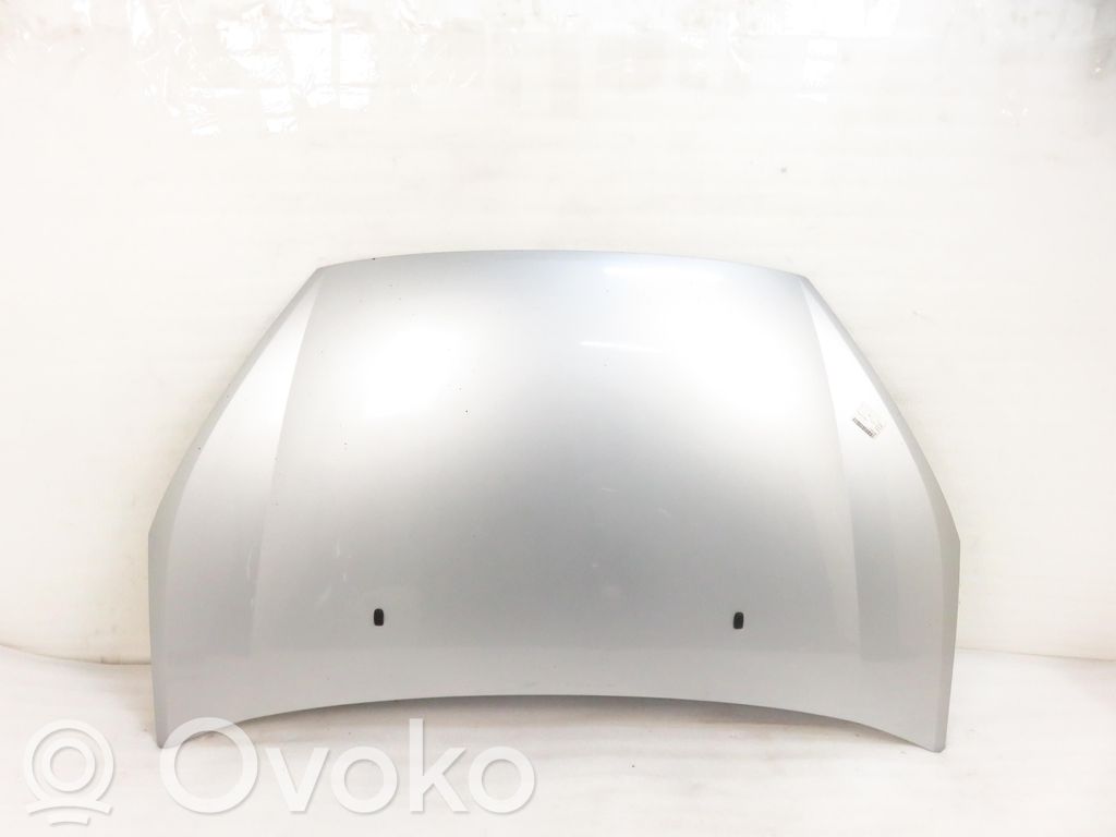 Motorhaube