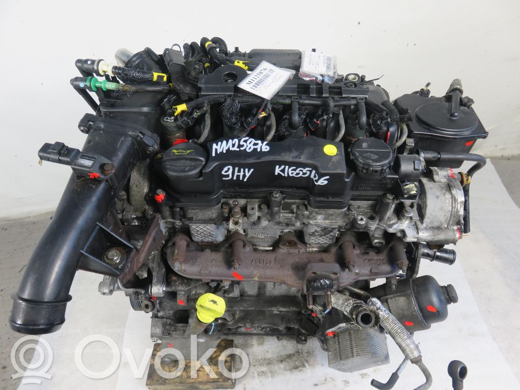 Citroen Xsara Picasso Motor 