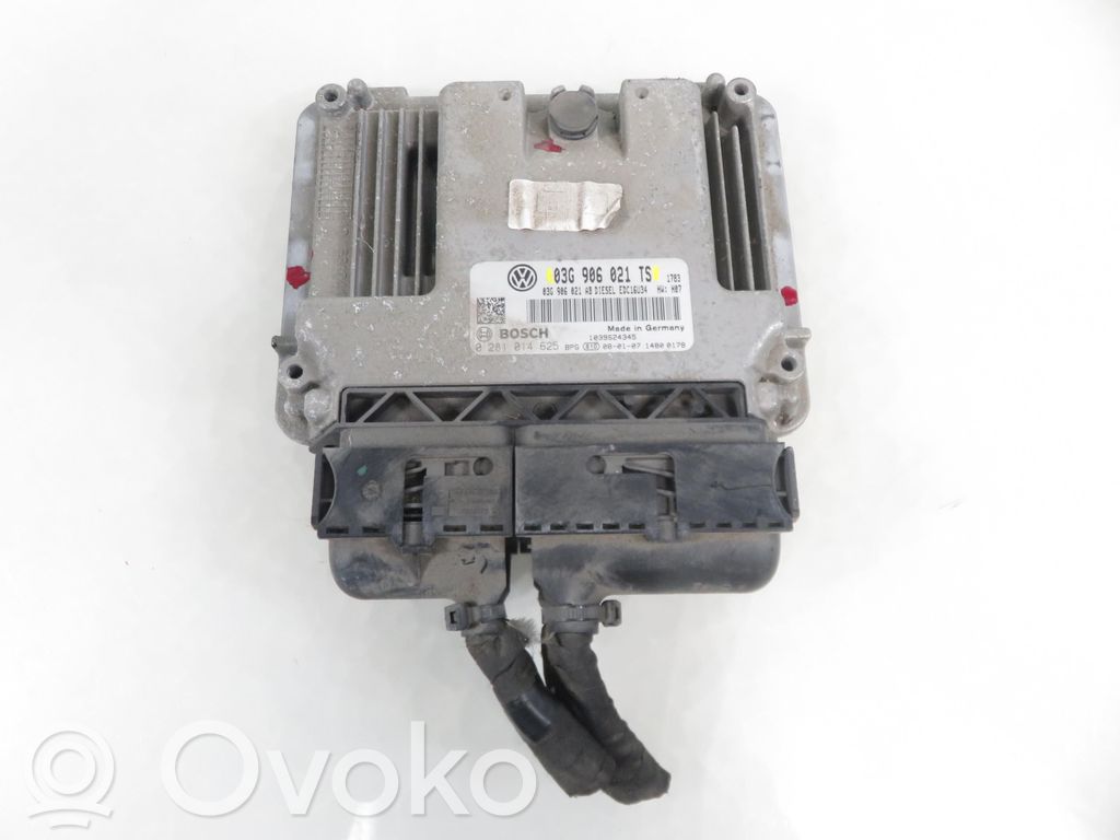 Sterownik / Moduł ECU   03G906021TS,03G906021TS
