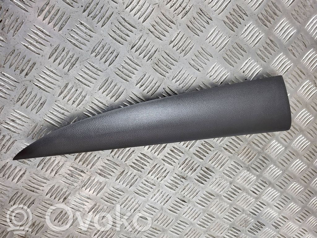 Dashboard trim